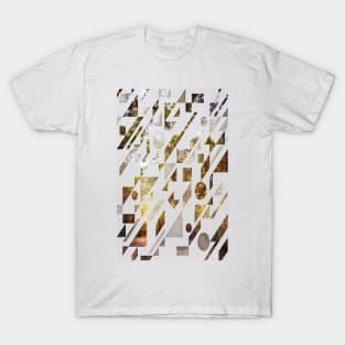 A Walk in the Woods T-Shirt